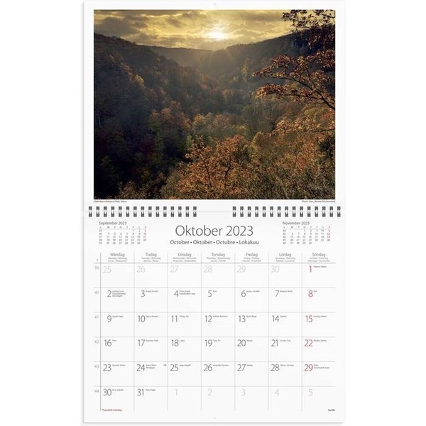 Väggkalender vår vackra skog 2022 300x480mm spiralbunden