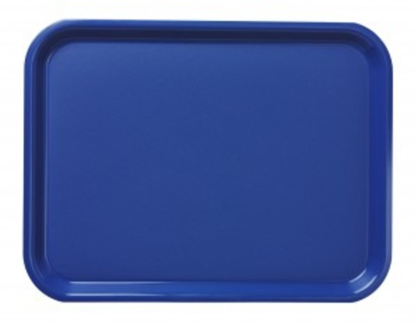 Serveringsbricka Väbo 43x33cm blå plast