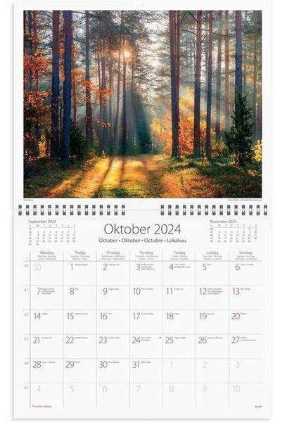 Väggkalender vår vackra skog  2024 300x480mm spiralbunden
