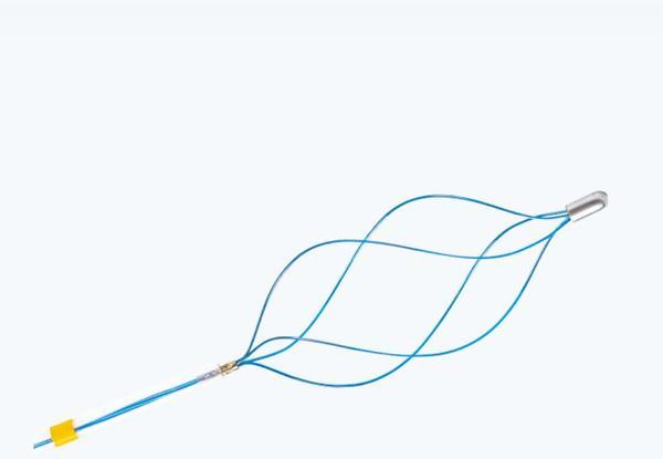 AGS Korg ERCP f stenextraktion, nitinol, 195 cm, 20x40 mm