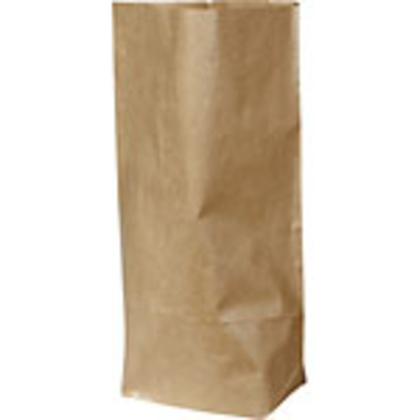 Kanisterpåse 3 kg, 230x330 mm, brun